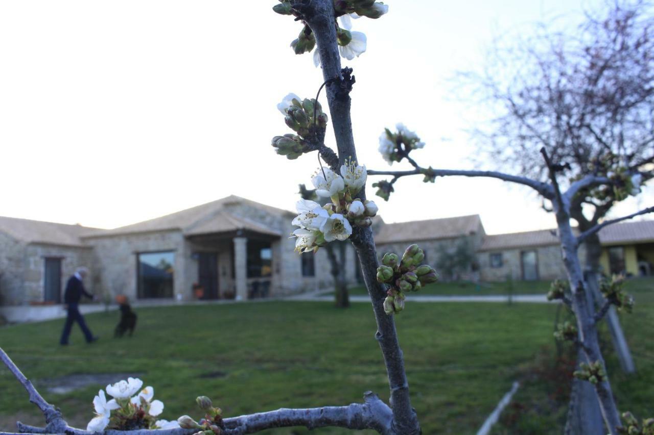 Quinta Da Ribeira Villa เบลมอนเต ภายนอก รูปภาพ