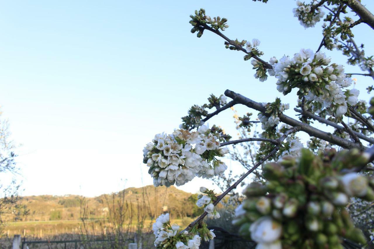 Quinta Da Ribeira Villa เบลมอนเต ภายนอก รูปภาพ